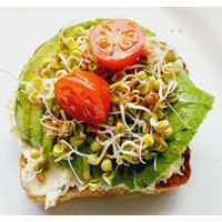 Kitchen Garden Japanese Radish Sprouting Seeds 50g